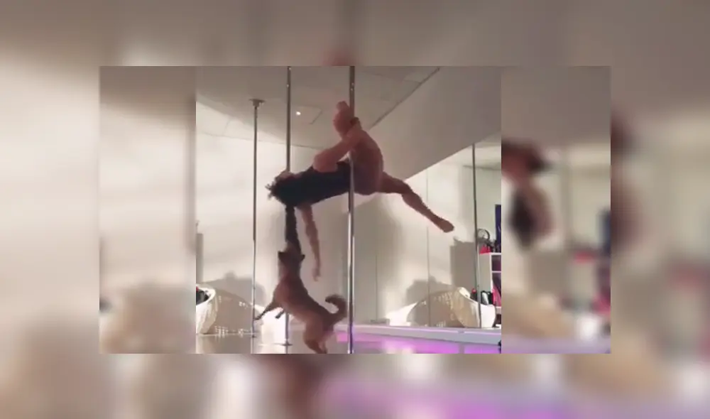 YouTube viral: bella joven hace sexy baile de ‘pole dance’ y su perro le arruina su presentación [VIDEO]