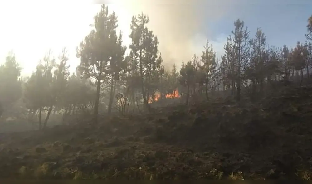 Incendio Parque del Manu Incendio Parque del Manu
