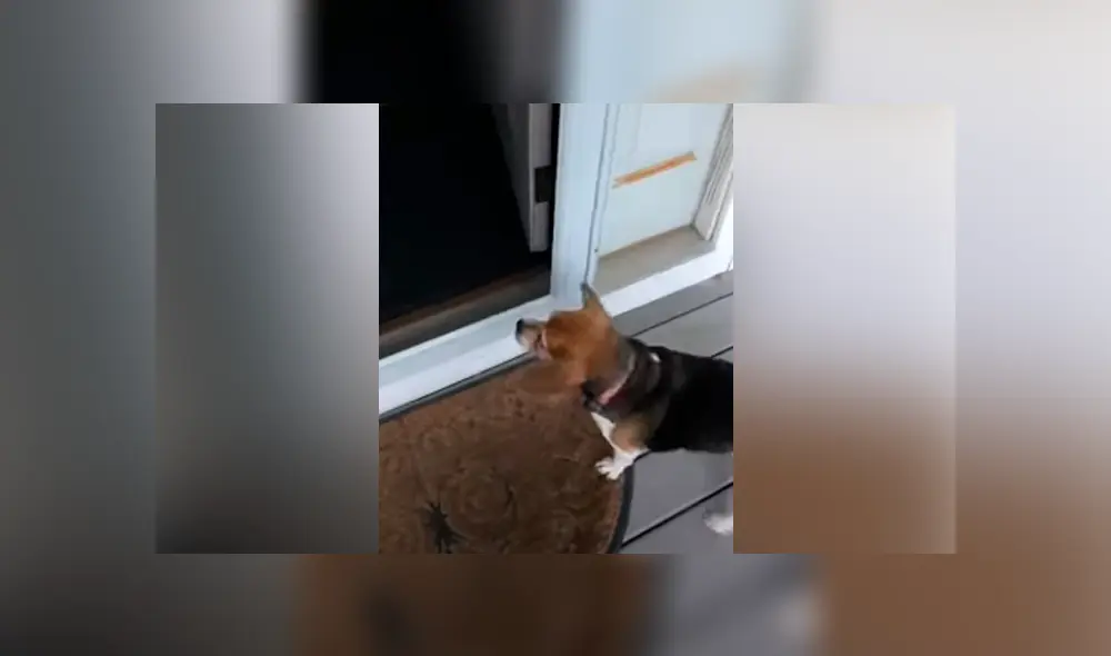 Desliza hacia la izquierda para ver las imágenes del viral de YouTube. Desliza hacia la izquierda para ver las imágenes del viral de YouTube.