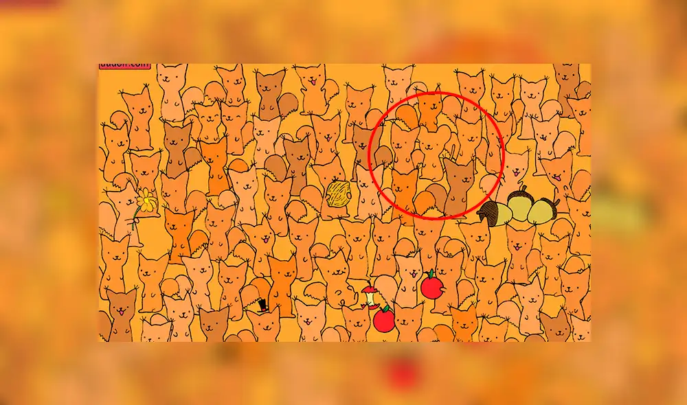 Facebook viral: halla al ratón escondido entre zorros de colores, el nuevo reto visual que casi nadie puede resolver Facebook viral: halla al ratón escondido entre zorros de colores, el nuevo reto visual que casi nadie puede resolver