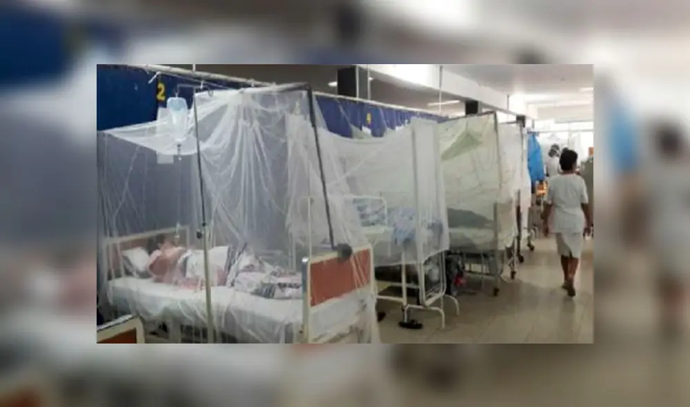 Elisbán Ochoa, gobernador regional de Loreto, evalúa fumigar los domicilios. (Foto: Minsa)