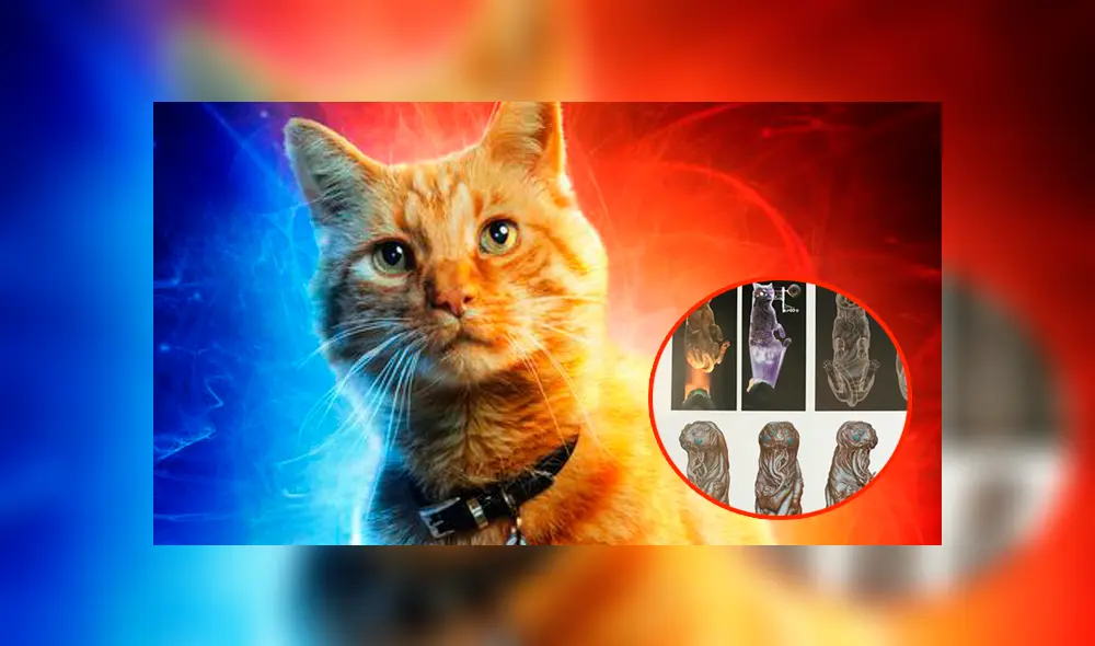 Capitana Marvel: Esta es la verdadera forma de Goose que Disney no permitió que veamos