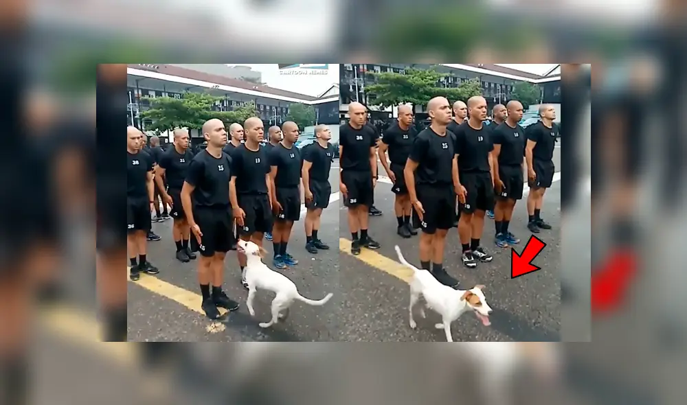 Facebook viral: cadetes debían permanecer inmóviles, pero travieso perro pone a prueba su concentración Facebook viral: cadetes debían permanecer inmóviles, pero travieso perro pone a prueba su concentración