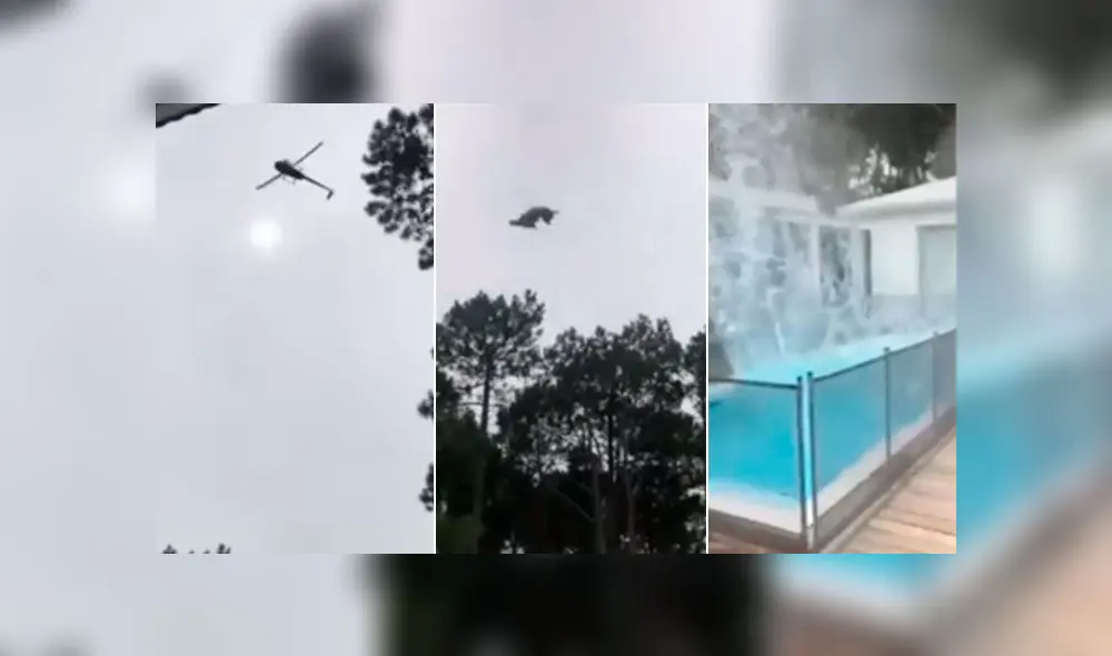 El animal fue lanzado desde un helicóptero en movimiento y el video generó el repudio de miles en redes. Foto captura