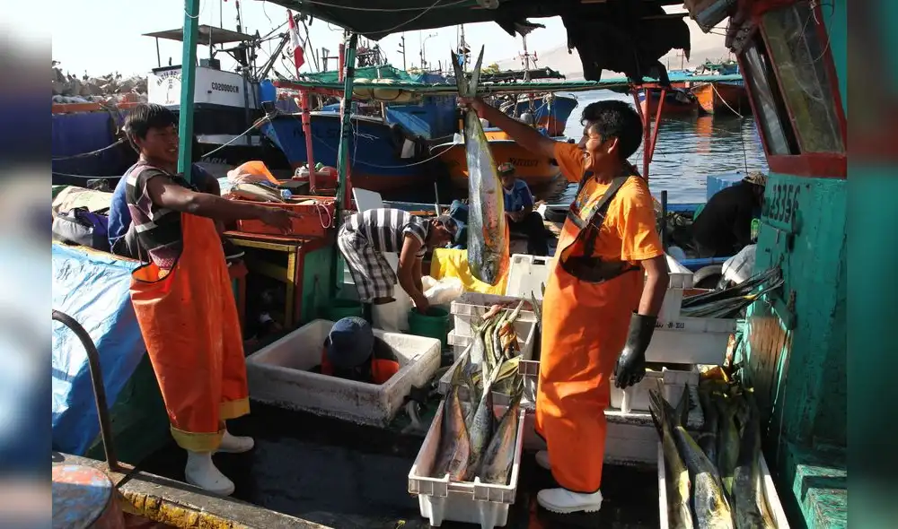 Congreso intenta prolongar los beneficios de las empresas pesqueras