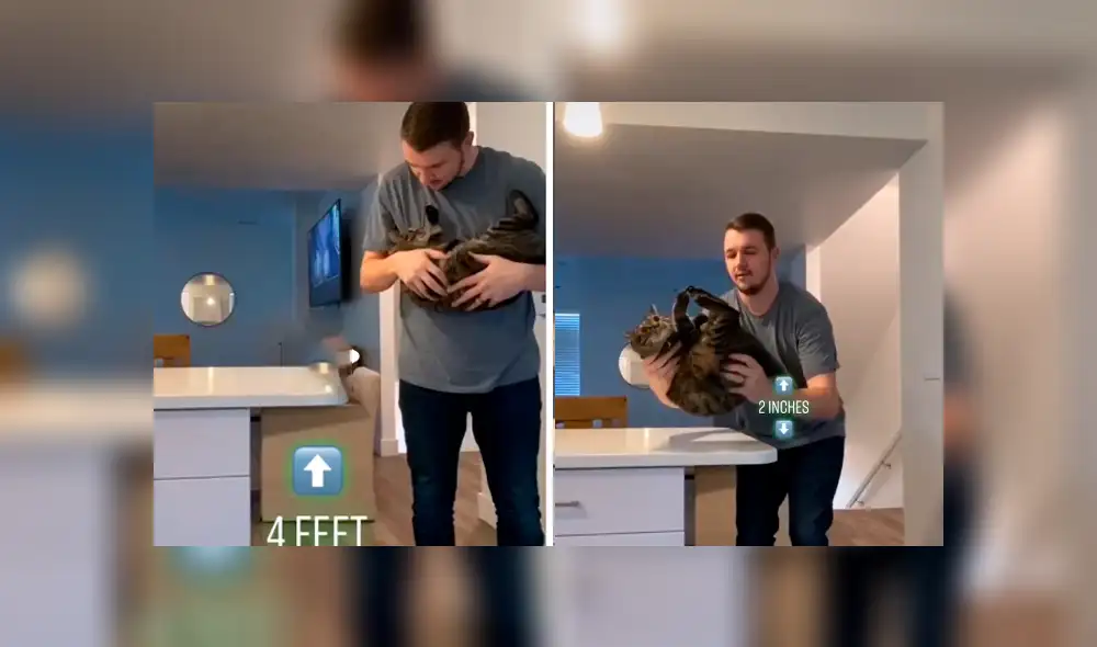 Desliza hacia la izquierda para ver el resultado del experimento que hizo un joven con su gato. Video es viral en YouTube.