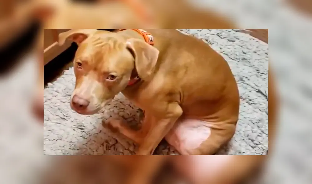 Desliza la imagen compartida en YouTube para verlas todas.