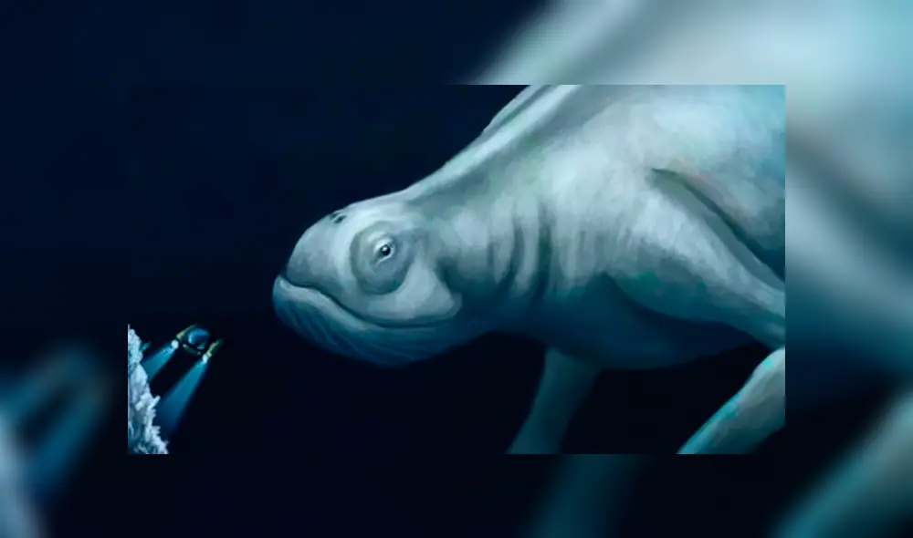 YouTube viral: gigantesca criatura marina embiste barco de Japón y miles quedan impactados [VIDEO]