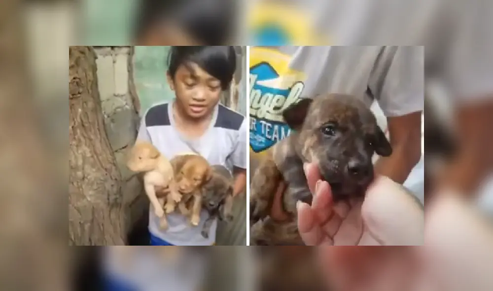 Desliza las imágenes para ver más detalles de esta emotiva historia que es viral en Facebook.