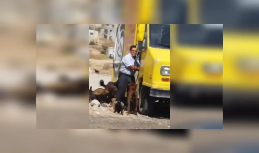 Desliza para ver más imágenes de este hombre de buen corazón, que ayuda a cada perrito de la calle. (Foto: Facebook)