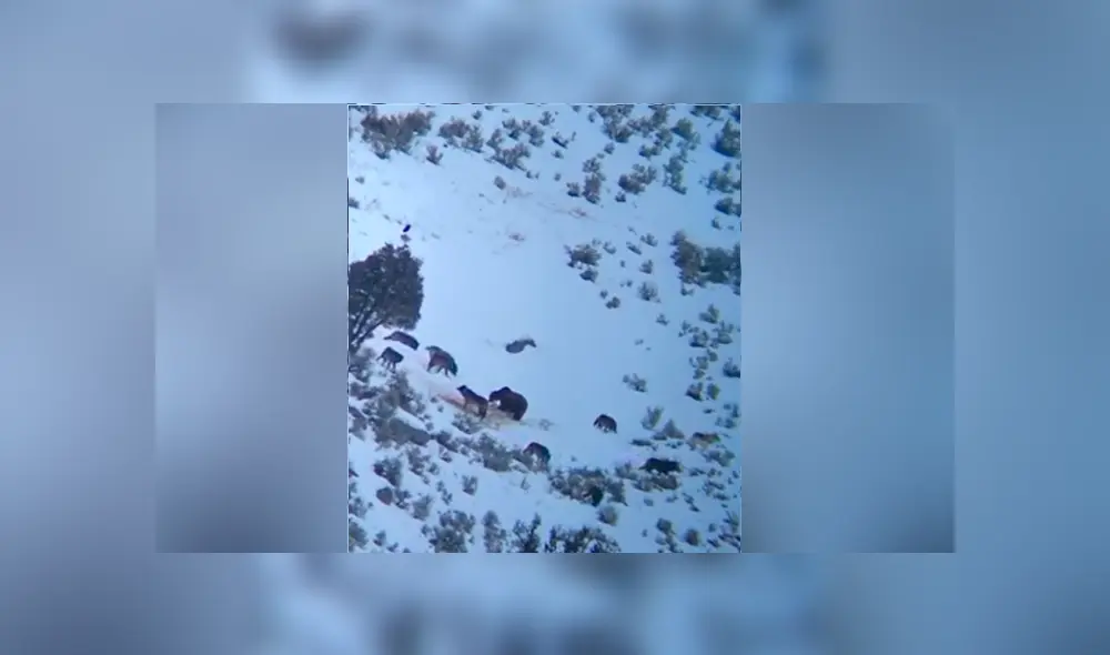 Desliza para ver los momentos más impactantes del video que se hizo viral en Facebook. Desliza para ver los momentos más impactantes del video que se hizo viral en Facebook.