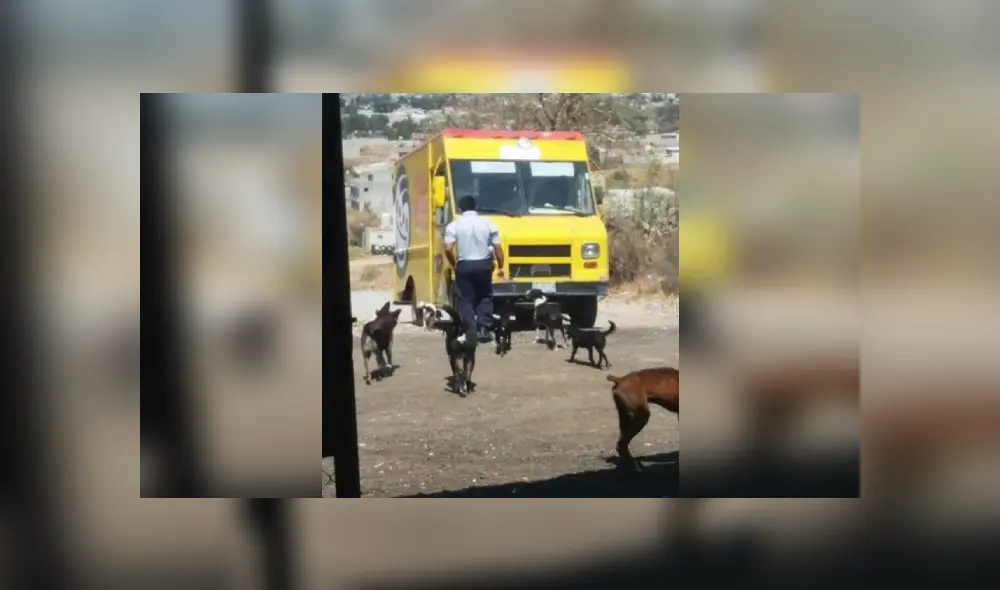 Desliza para ver más imágenes de este hombre de buen corazón, que ayuda a cada perrito de la calle. (Foto: Facebook)