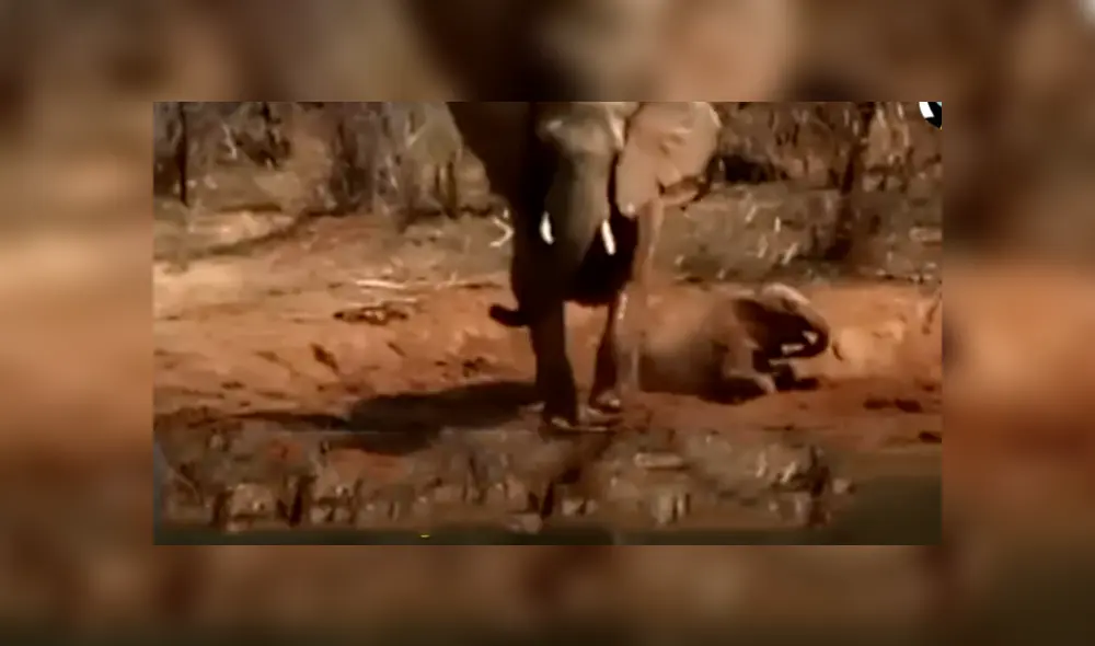 Desliza hacia la izquierda para ver las imágenes del viral de YouTube. Desliza hacia la izquierda para ver las imágenes del viral de YouTube.