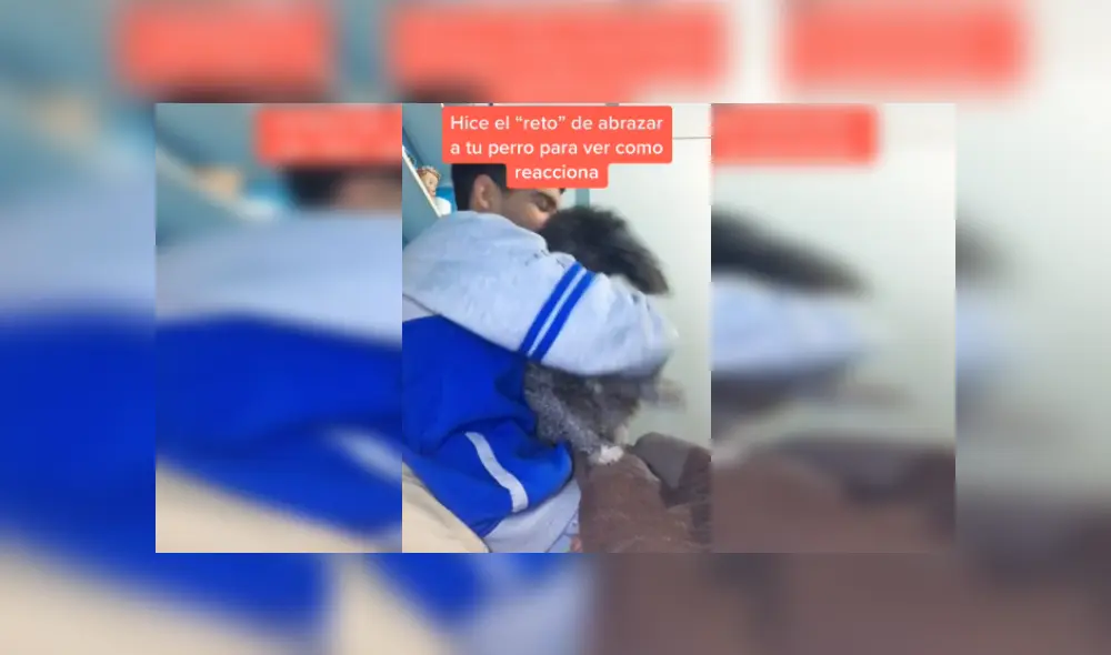 Desliza las imágenes para ver la increíble reacción que tuvo este perrito al recibir el abrazo de su dueño. (Foto: captura) Desliza las imágenes para ver la increíble reacción que tuvo este perrito al recibir el abrazo de su dueño. (Foto: captura)