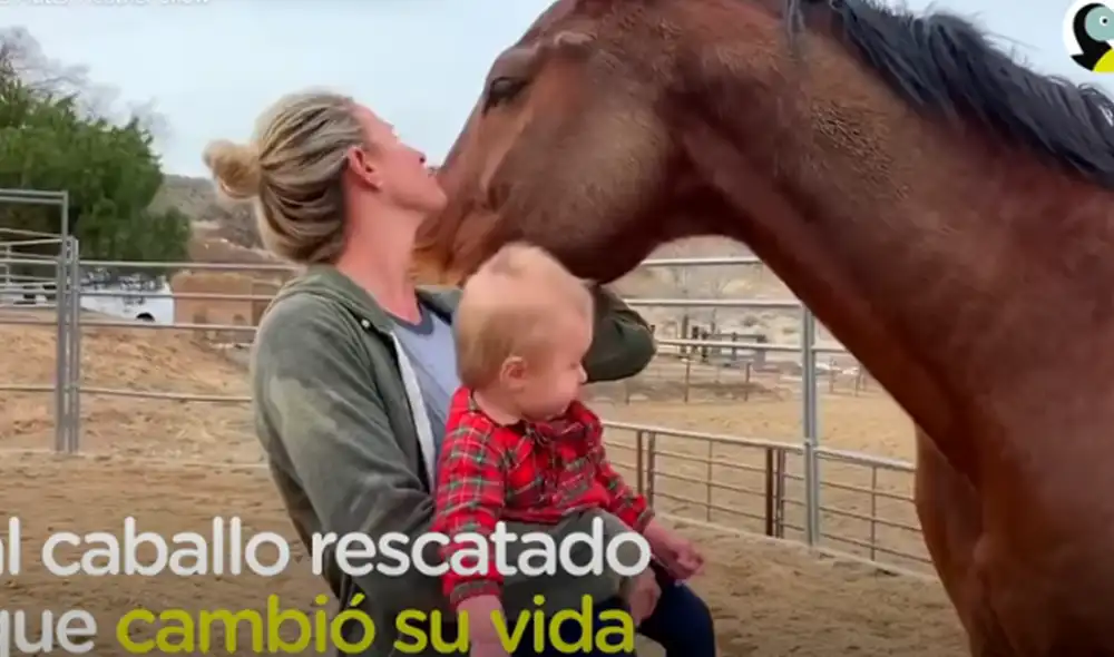 Desliza hacia la izquierda para ver las imágenes del video viral. Foto: captura de YouTube. Desliza hacia la izquierda para ver las imágenes del video viral. Foto: captura de YouTube.