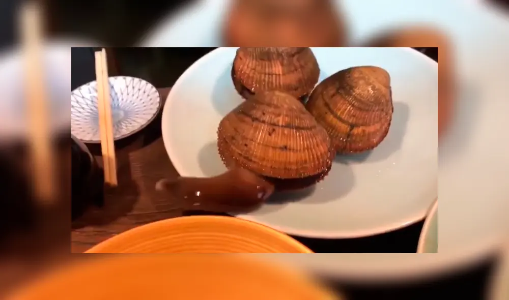 En Facebook, un joven acudió a un restaurante asiático y no imaginó que el animal marino se movería en su plato. En Facebook, un joven acudió a un restaurante asiático y no imaginó que el animal marino se movería en su plato.