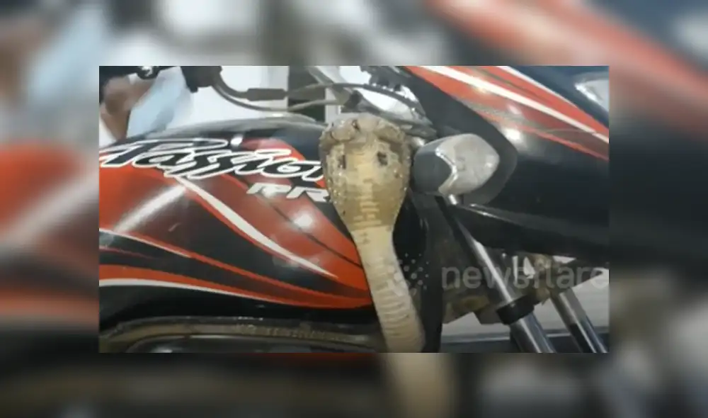 Desliza hacia la izquierda para ver las imágenes del viral de Facebook. Foto: Captura. Desliza hacia la izquierda para ver las imágenes del viral de Facebook. Foto: Captura.