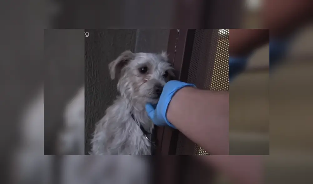 Desliza las imágenes para ver más detalles de esta escena que es viral en YouTube.