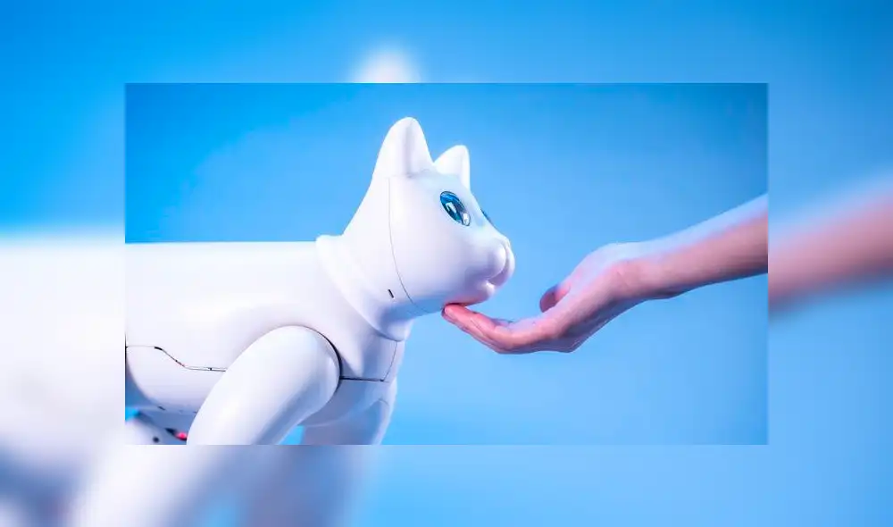 Desliza a la izquierda para descubrir este tierno robot. Desliza a la izquierda para descubrir este tierno robot.