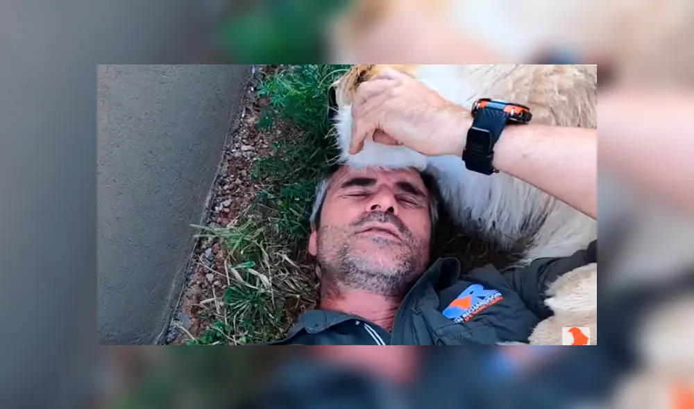 Desliza hacia la izquierda para ver las imágenes del viral de la leona con su cuidador. Imágenes del video de Youtube.