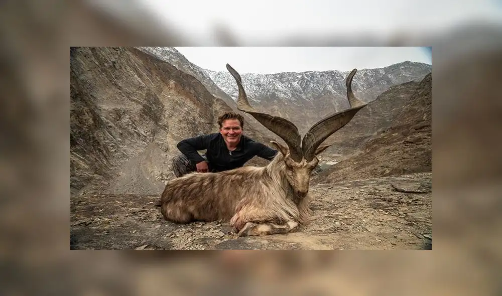 Cazador pagó 110 mil dólares para matar una majestuosa cabra del Himalaya [VIDEO]