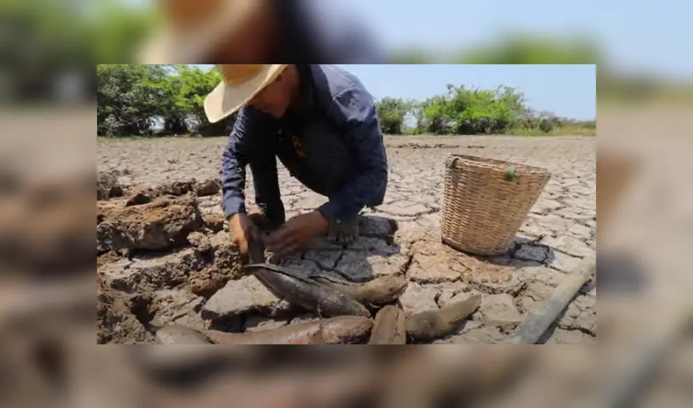 Desliza hacia la izquierda para ver las imágenes del viral de Facebook. Desliza hacia la izquierda para ver las imágenes del viral de Facebook.