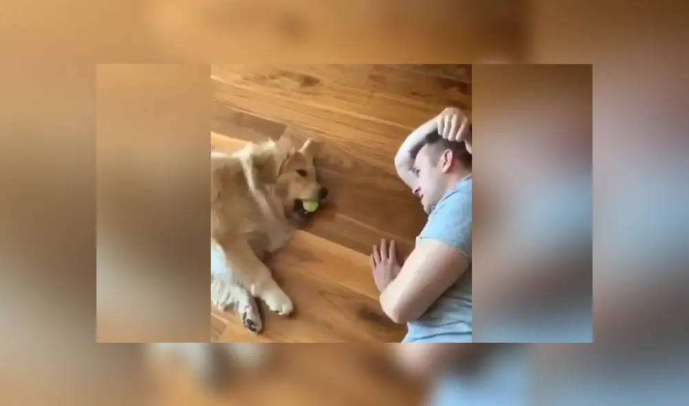 A través de Facebook se ha vuelto viral la curiosa reacción de un soñoliento perro al ver que su dueño quería jugar con él.