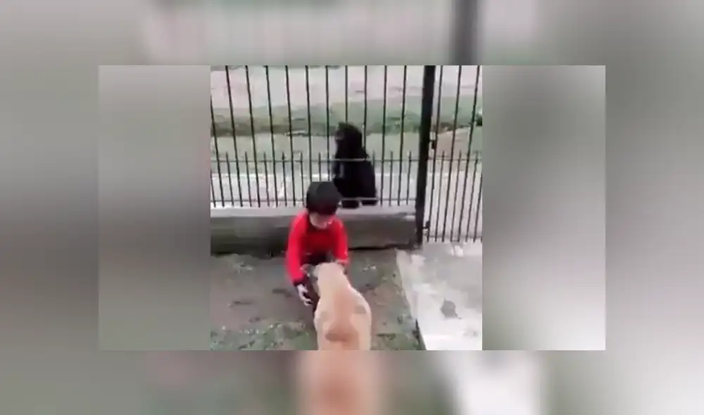 Desliza para ver los momentos más emotivos del video que se hizo viral en Facebook. Desliza para ver los momentos más emotivos del video que se hizo viral en Facebook.