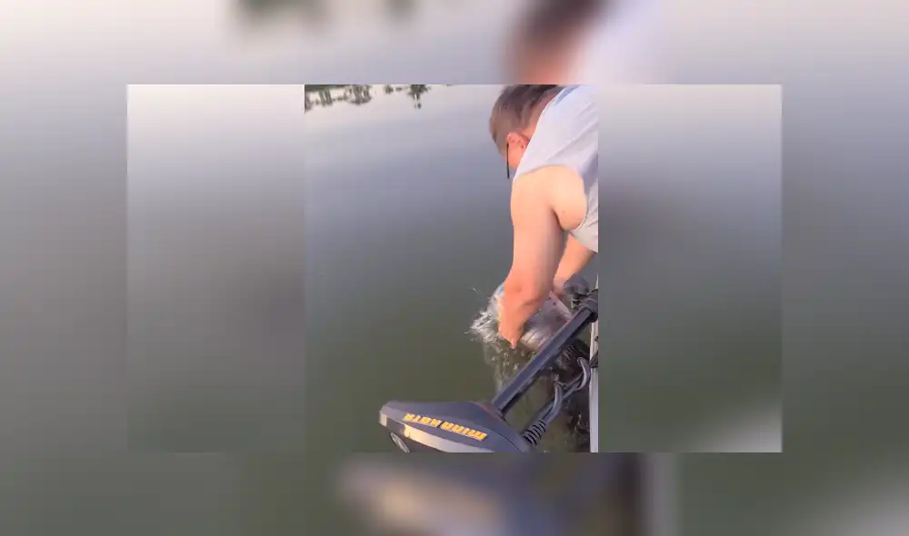 Una familia que estaba navegando por un lago salvó a un oso que tenía un bidón de plástico en la cabeza. Foto: Facebook Una familia que estaba navegando por un lago salvó a un oso que tenía un bidón de plástico en la cabeza. Foto: Facebook