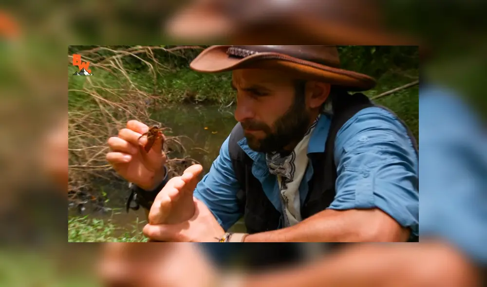 Un video muestra al popular 'Coyote' Peterson siendo mordido por una chinche de agua gigante. Un video muestra al popular 'Coyote' Peterson siendo mordido por una chinche de agua gigante.