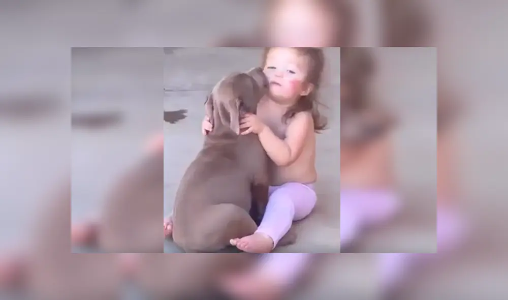 Desliza las imágenes hacia la izquierda para apreciar la sentimental escena entre una niña junto a su perro.