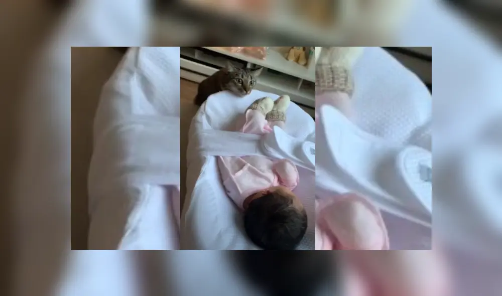 Desliza hacia la izquierda para ver más del video viral. Desliza hacia la izquierda para ver más del video viral.