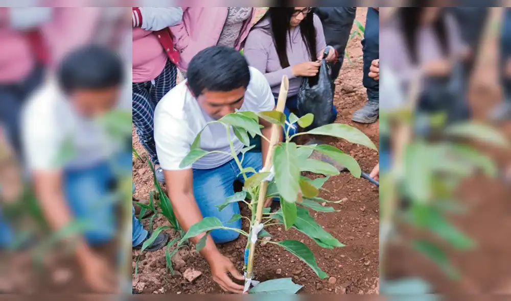 Rodríguez impulsa exportación. Rodríguez impulsa exportación.