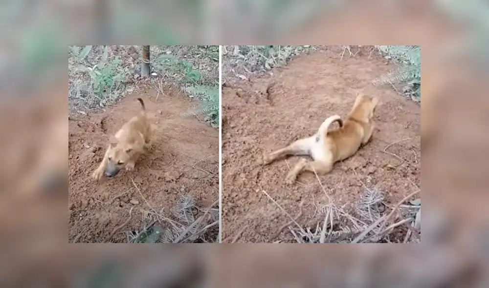 Desliza hacia la izquierda para ver las imágenes del viral de YouTube. Foto: Captura.