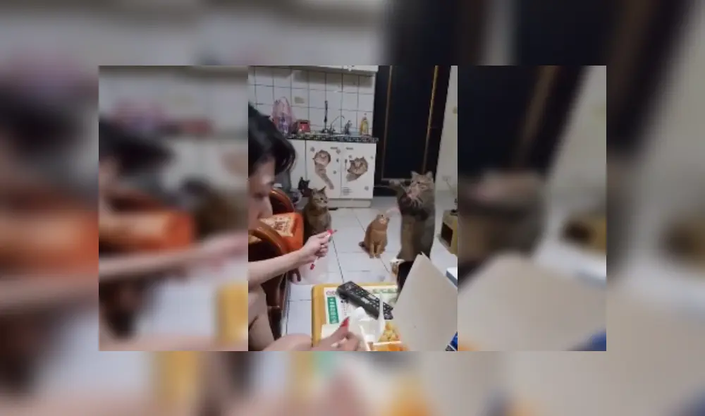 Desliza las imágenes para ver más sobre esta escena que es viral en YouTube. Desliza las imágenes para ver más sobre esta escena que es viral en YouTube.