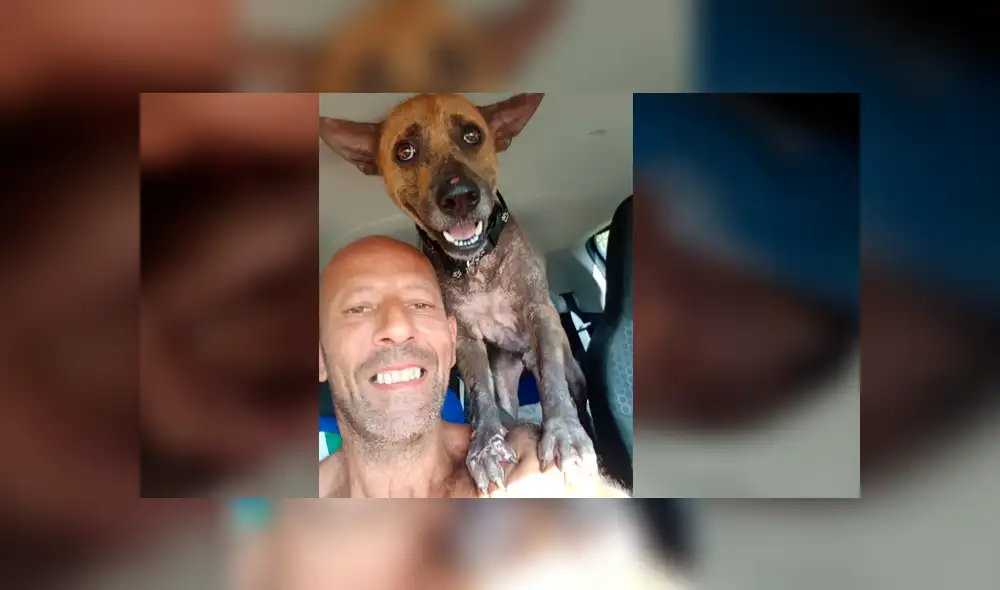 Desliza para ver cómo luce actualmente este perro que conmovió a todos en Facebook. Foto: Captura.