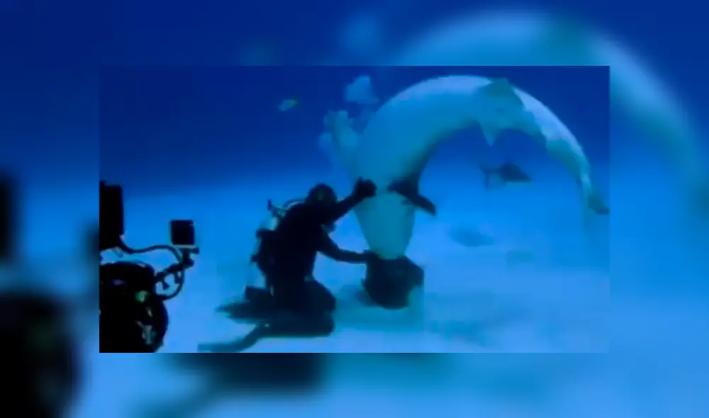 Desliza la imagen de YouTube para verlas todas. Foto: captura