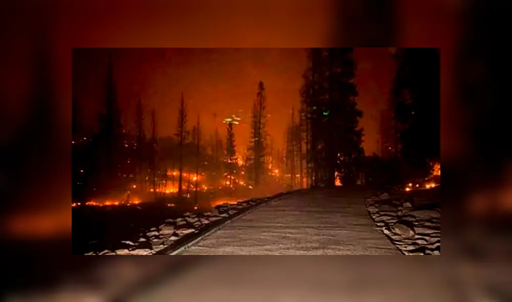 Hasta este domingo por la mañana, el fuego ha arrasado con más de 45 000 acres y el incendio se encuentra fuera de control con un 0% de contención. Foto: EFE Hasta este domingo por la mañana, el fuego ha arrasado con más de 45 000 acres y el incendio se encuentra fuera de control con un 0% de contención. Foto: EFE