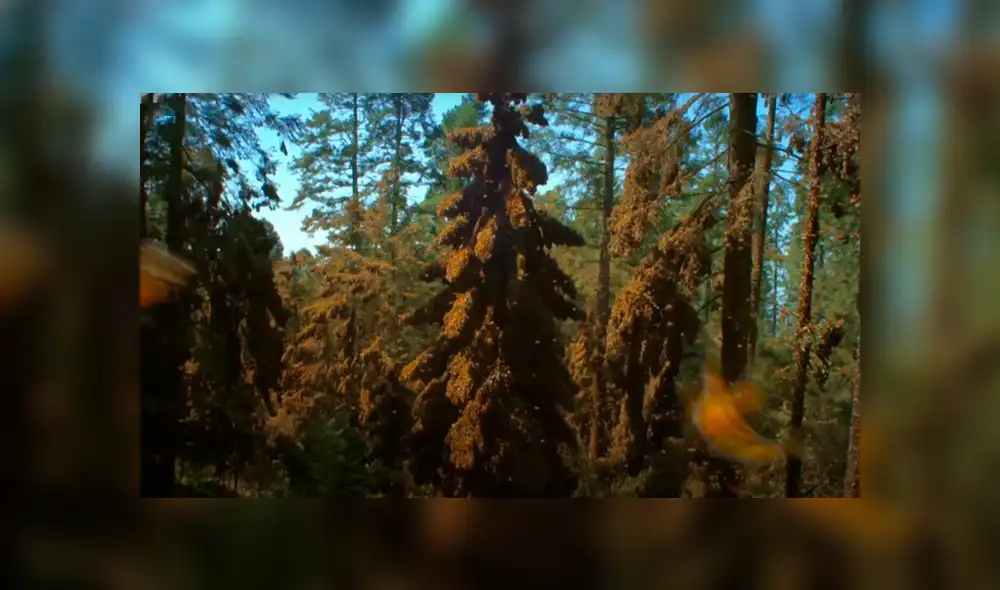 Desliza la imagen de Facebook para verlas todas. Desliza la imagen de Facebook para verlas todas.