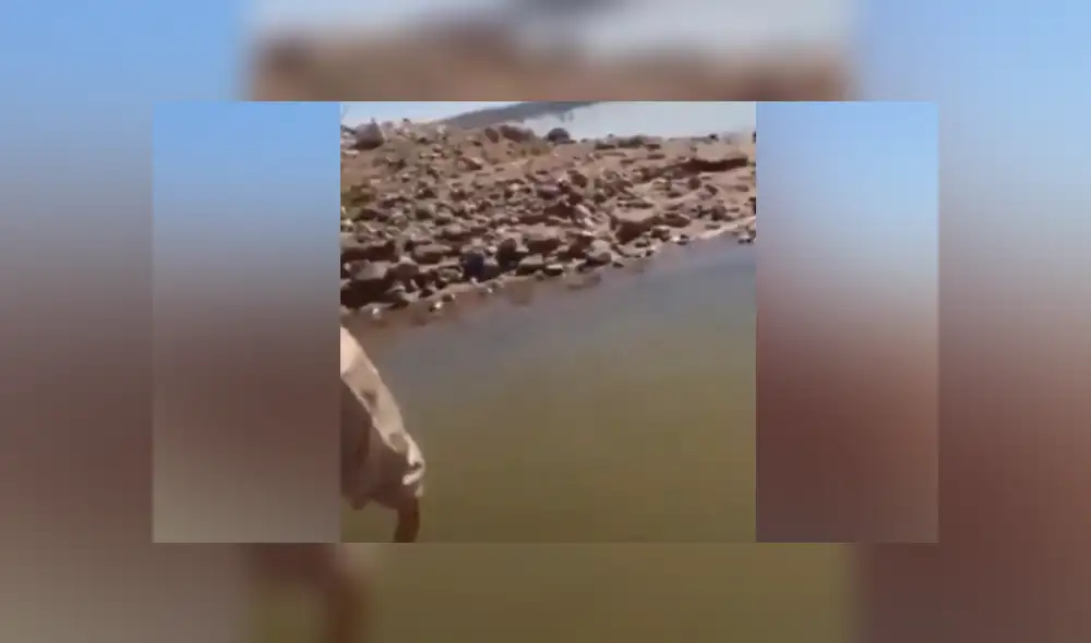 Desliza para ver los momentos más impactantes del curioso video que se hizo viral en YouTube.