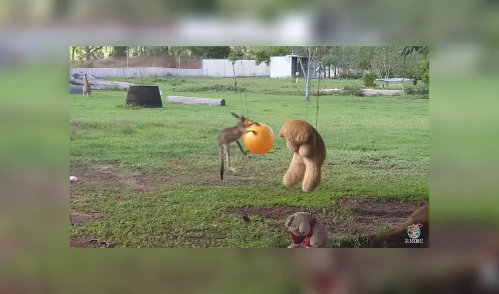 Desliza para ver los detalles del video viral publicado en YouTube. Foto: Captura.