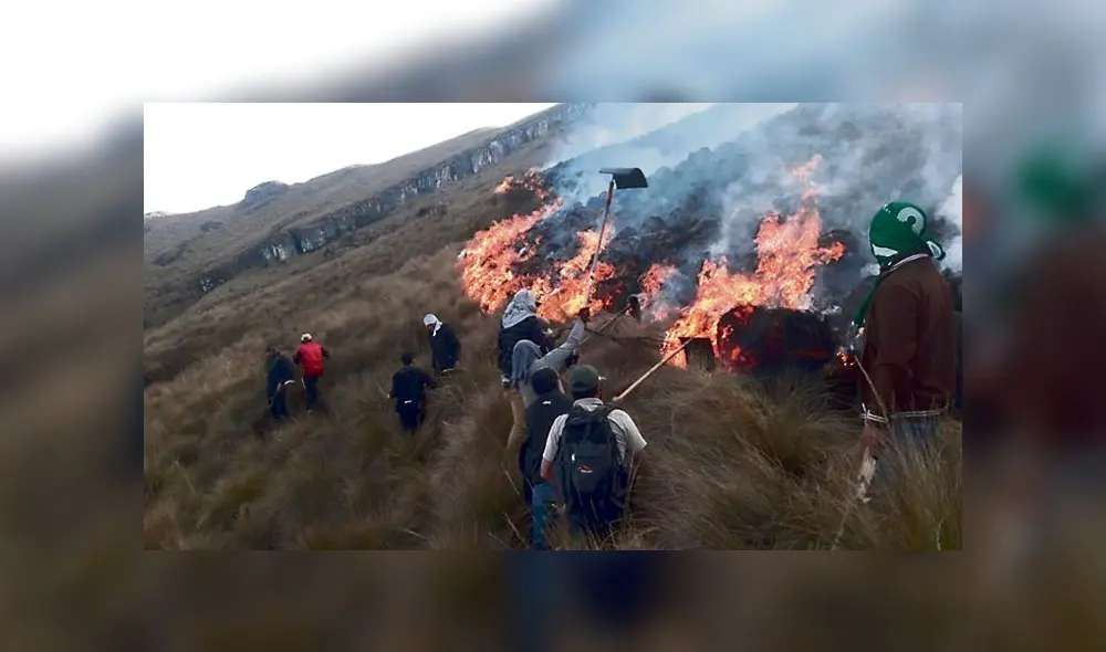trabajo. Brigadistas lograron apagar fuego. Sin embargo, temen que incendio reinicie. trabajo. Brigadistas lograron apagar fuego. Sin embargo, temen que incendio reinicie.