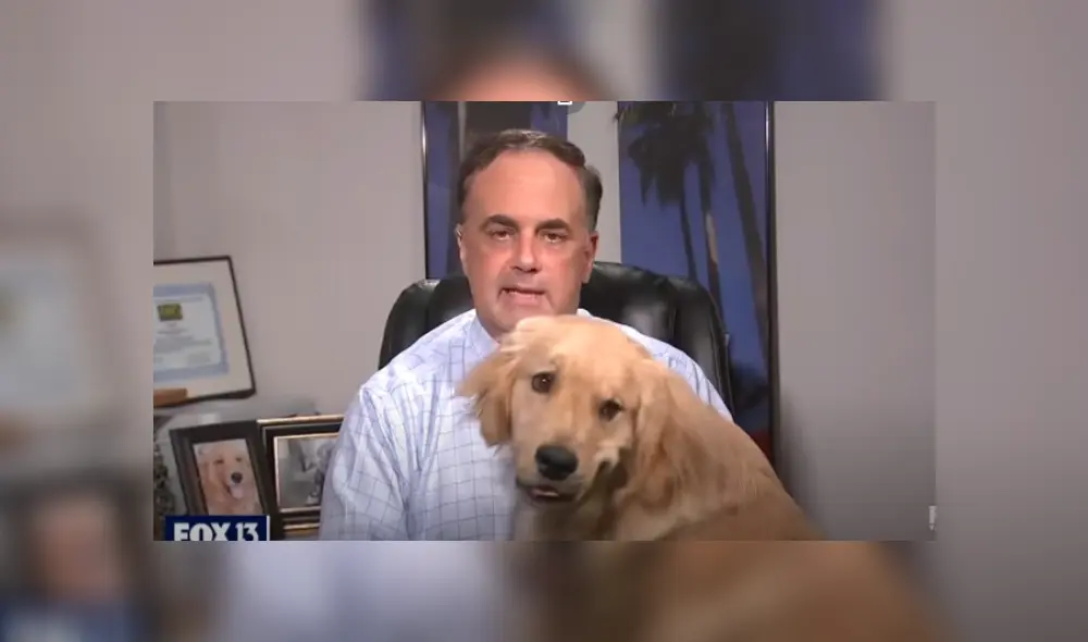 Desliza hacia la izquierda para ver más del video viral. Desliza hacia la izquierda para ver más del video viral.