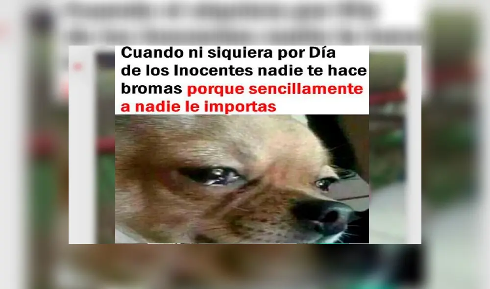 Día de los Inocentes: En Facebook se viralizaron graciosos memes y aquí te dejamos los mejores [FOTOS]