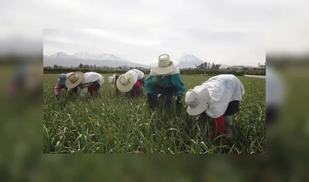 Día del Campesino Día del Campesino