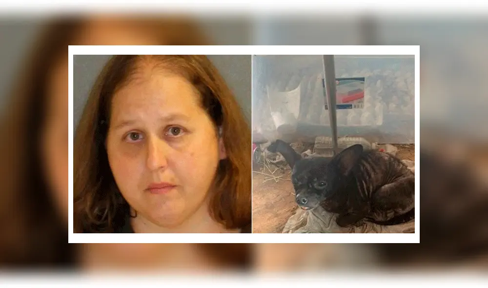 Rescatan a 3 niñas que vivían en condiciones inhumanas junto a 245 animales [VIDEO]