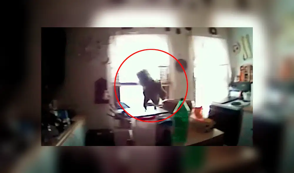 Facebook: El 'feroz ataque' de una ardilla contra policías [VIDEO]