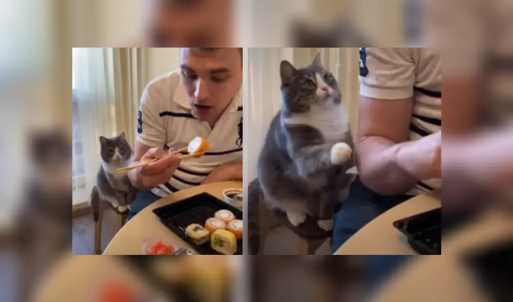 Desliza hacia la izquierda para ver más del video viral. Fotocaptura: YouTube