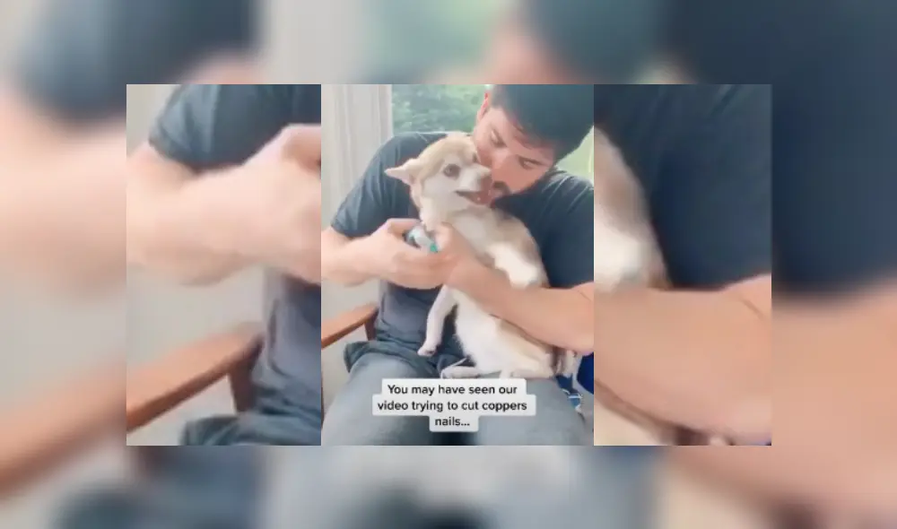 Desliza hacia la izquierda para ver más del video viral. Desliza hacia la izquierda para ver más del video viral.