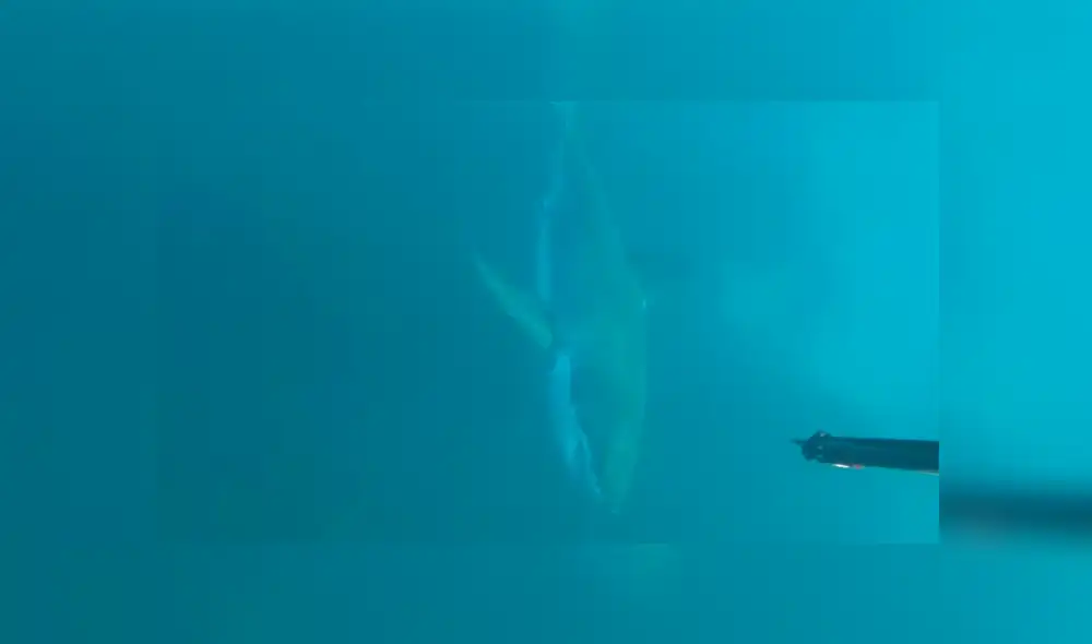 Desliza para ver los momentos más aterradores del video que se hizo viral en YouTube. Desliza para ver los momentos más aterradores del video que se hizo viral en YouTube.